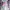 Cosplay Coquette Wanita white pink photo 3