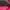 Jacket Polar Millet Pink photo 3
