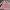 Tom Taylor Girl Dress Size 104