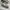 PUMA SUEDE  photo 3