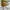 CONVERSE 70s ALL STAR YELLOW photo 4