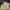 oneset  photo 1