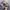 Carhartt Casual Hat Pria cream photo 4