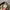 Carhartt Casual Hat Pria cream photo 5