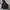 Jaket The North Face MP3 Velcro photo 1