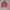 A199. KRUDUNG KAIN KOTAK WARNA PINK PRELOVED photo 2