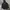 Jaket The North Face HyVent Makalu Gropcore photo 1