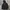 Jaket The North Face Gore-Tex