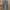 Dickies Carpenter Black Ripped photo 1