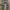 Dickies Carpenter Black Ripped photo 4