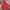 Jaket The North Face Gore-Tex Packable  photo 1