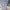 Sweate Turtleneck Motif Horizontal photo 3