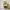 Converse Cons Pro CT Sunflower photo 3