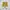 Converse Cons Pro CT Sunflower photo 1