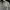 Sweatshirt Crewneck Under Armour Abu photo 2