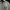 Sweatshirt Crewneck Under Armour Abu