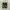 Converse Chuck Taylor All Star  photo 4