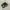 Converse Chuck Taylor All Star  photo 3