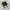 Converse Chuck Taylor All Star  photo 2