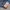 CELANA JEANS TRUE RELIGION RAINBOW JOEY TAG 29 photo 6