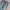 CELANA JEANS TRUE RELIGION RAINBOW JOEY TAG 29 photo 2