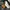 Levis jeans long pants carhartt dickies photo 5