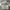 Ben davis big logo spelout photo 3