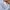 crop top basic knit hnm sky blue photo 1