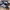 Adidas Spezial photo 2