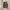 Adidas Spezial photo 6