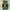Puma x Jamaica Country Reggae Style Tanktop Sleeveless photo 4
