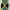 Puma x Jamaica Country Reggae Style Tanktop Sleeveless photo 7