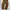 Gramicci USA corduroy pants photo 7