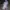 Nike Pria Quest 6 Road Running photo 4