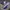 Nike Pria Quest 6 Road Running photo 2