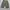 Leopard jhort longe wear pants photo 6