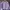 NETT Sweater Crop Bordir Bunga Lilac Wanita