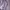 NETT Sweater Crop Bordir Bunga Lilac Wanita photo 4