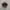 New Balance 1000 Aime Leon Dore Black photo 2