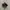 New Balance 1000 Aime Leon Dore Black