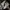 Converse Casual Sneakers Pria white photo 4