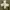 Kapital “Cross” Knit photo 2