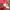 VANS Streetwear Skater T-shirt Pria red photo 4