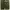 Gu Super Wide Cargo photo 3