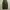 Gu Super Wide Cargo photo 6