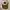 Thrasher Streetwear Skater Hat Pria Brown Cream