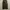 Wego Wide Cargo photo 6