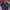 Zara Blazer Navy / Zara basic / Zara outer / slim fit blazer photo 3