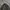 TURTLENECK BASIC OLD MONEY  photo 6