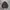 TURTLENECK BASIC OLD MONEY  photo 1